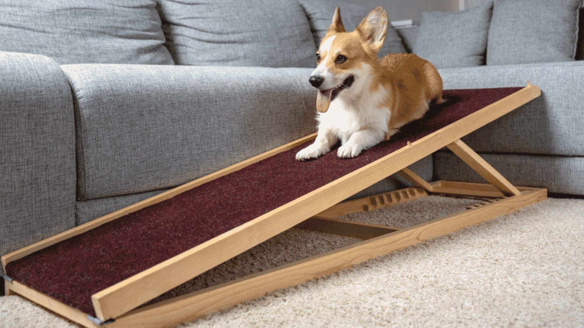 Since it is not necessary to raise the footsteps like stairs when climbing a slope, the burden on the legs and waist is small, so it is recommended that pets who have been injured or have weak legs and waists use this type as a tool for up and down movement.