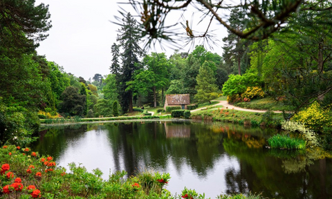 A view of the lake and the greenery at Leonardslee Lakes & Gardens