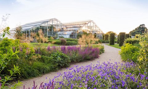 The glasshouse borders and Glasshouse at RHS Wisley