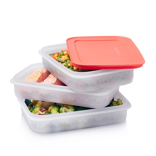 Tupperware Congelador Mini Mate 3.7 fl oz Contenedor de plástico (juego de  4) con pañuelo gratis