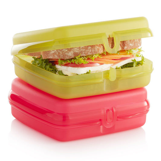 TUPPERWARE LARGE RECTANGLE LUNCH-IT DIVIDED DISH / CONTAINER GUAVA