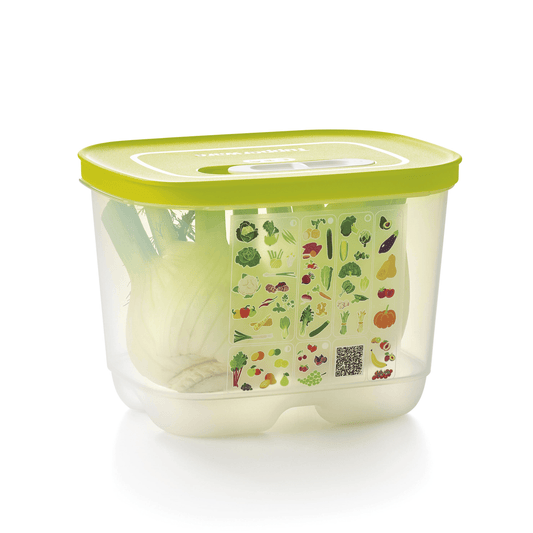 Tupperware Brands on X: Worried about food going bad quickly? Keep fruit  and veggies fresh longer by refrigerating them in our VentSmart Containers!  #Tupperware  / X