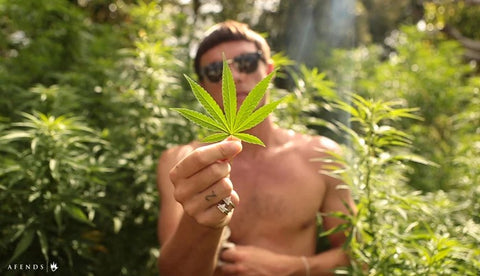 afends model stood holding the leaf of a hemp plant. the model has no tshirt on and is stood amongst the Afends Sleepy hollow compound hemp plants.