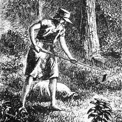 Historical depiction of John Chapman, aka Johnny Appleseed