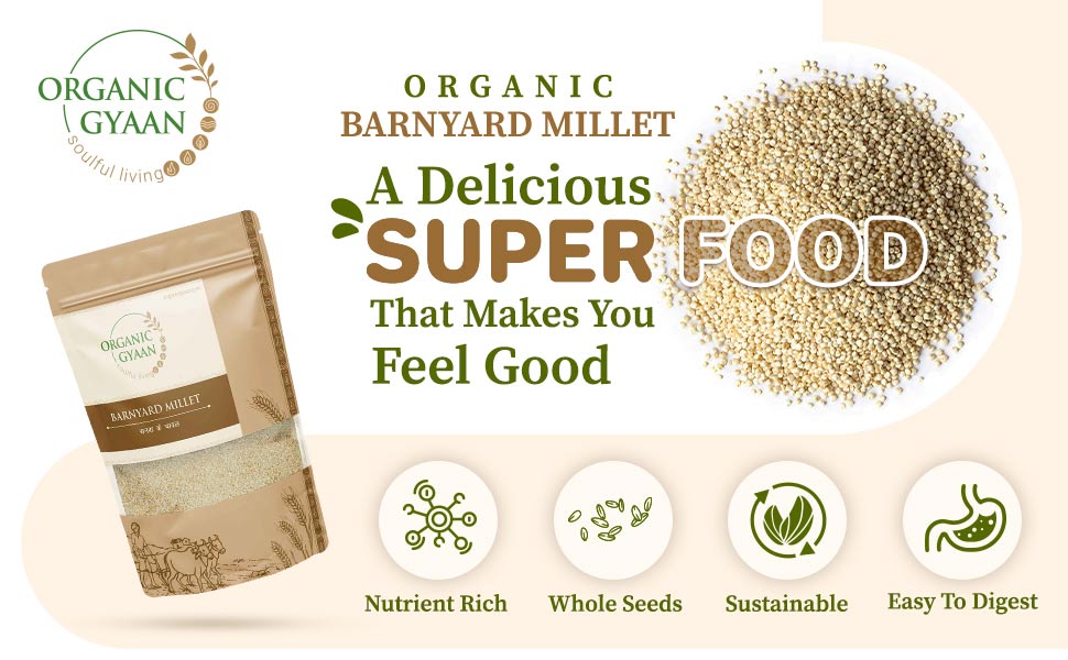 Delicious superfood barnyard millet