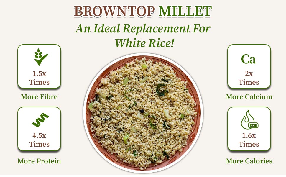 Browntop millet healthier substitute for white rice