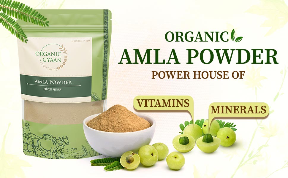 Amla Powder by Organic Gyaan