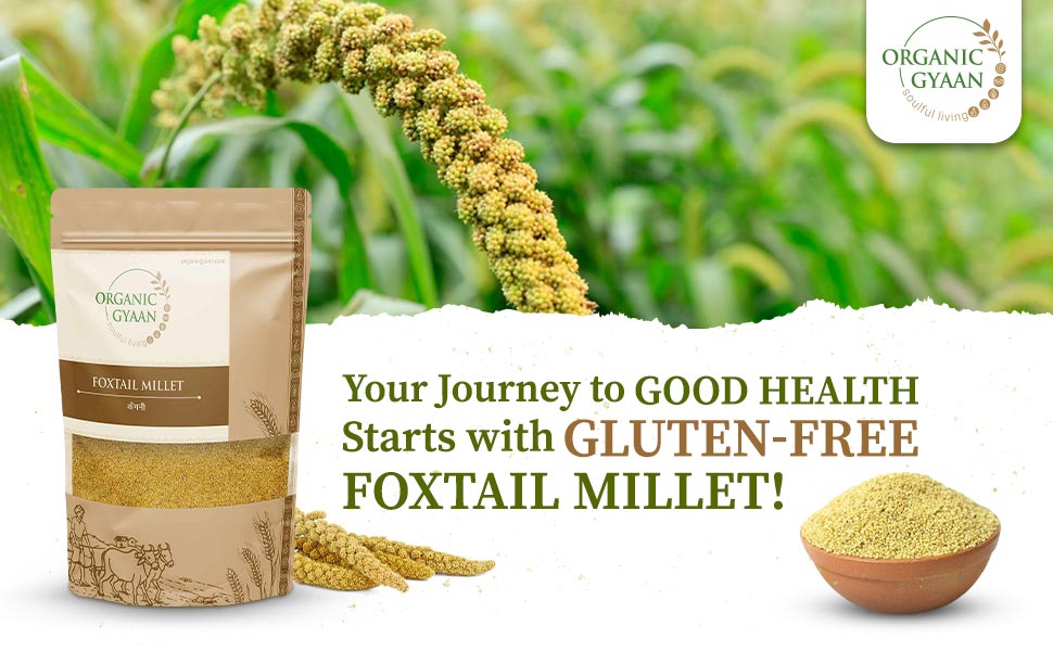 Gluten free foxtail millet