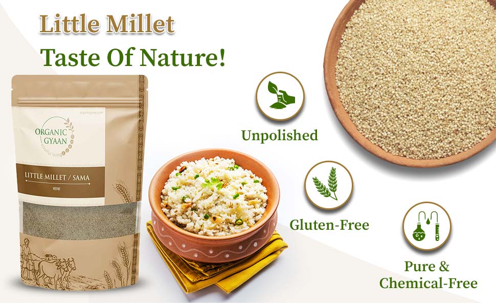 Little millet by organic gyaan