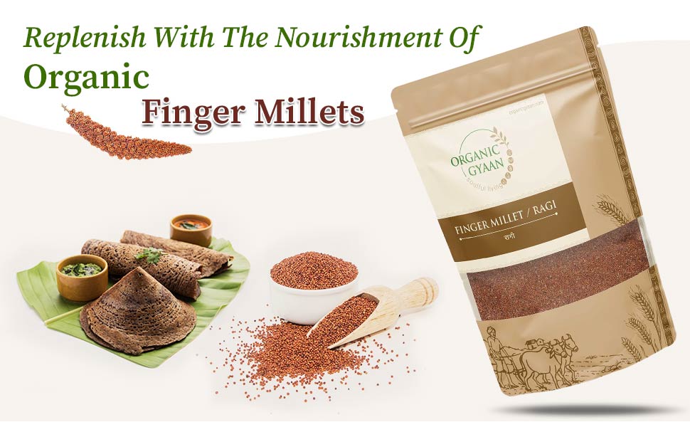 Nourishment with organic finger millet