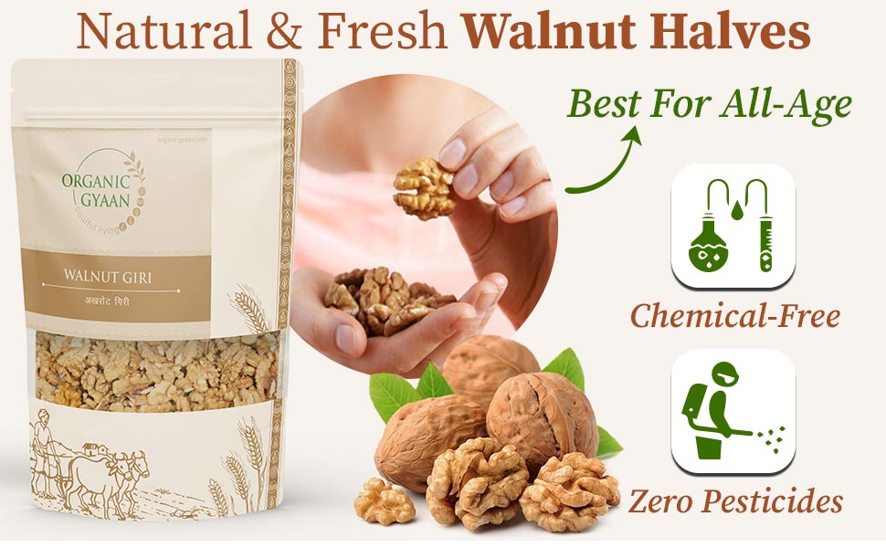 Natural and fresh walnut giri
