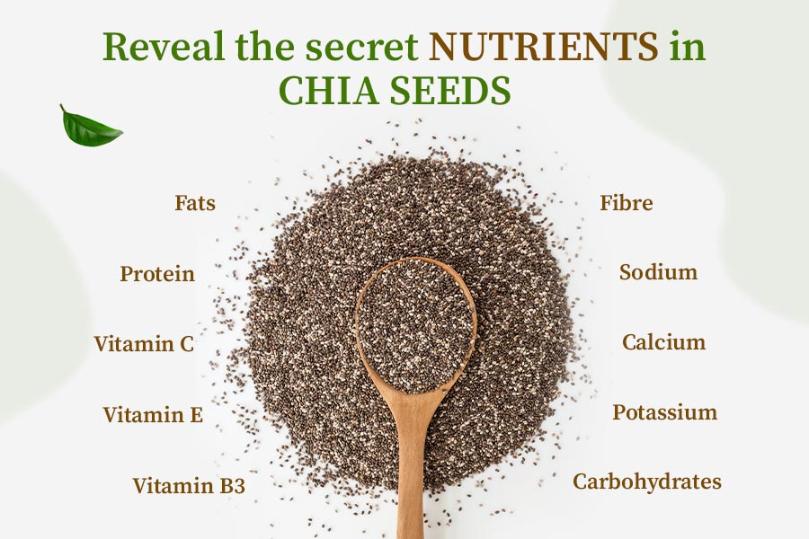Chia Seed Nutrients