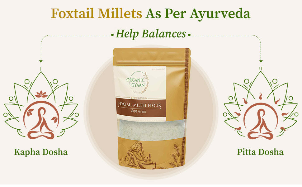 Foxtail millet help balances kapha dosha and pitta dosha