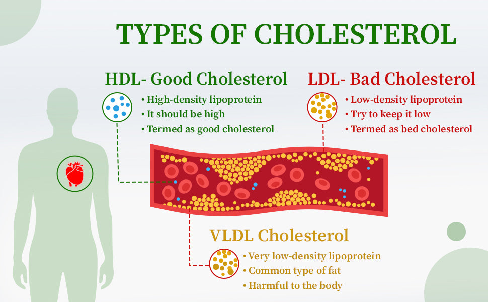 Types Of Cholesterol comparing with HDL, LDL and VLDL