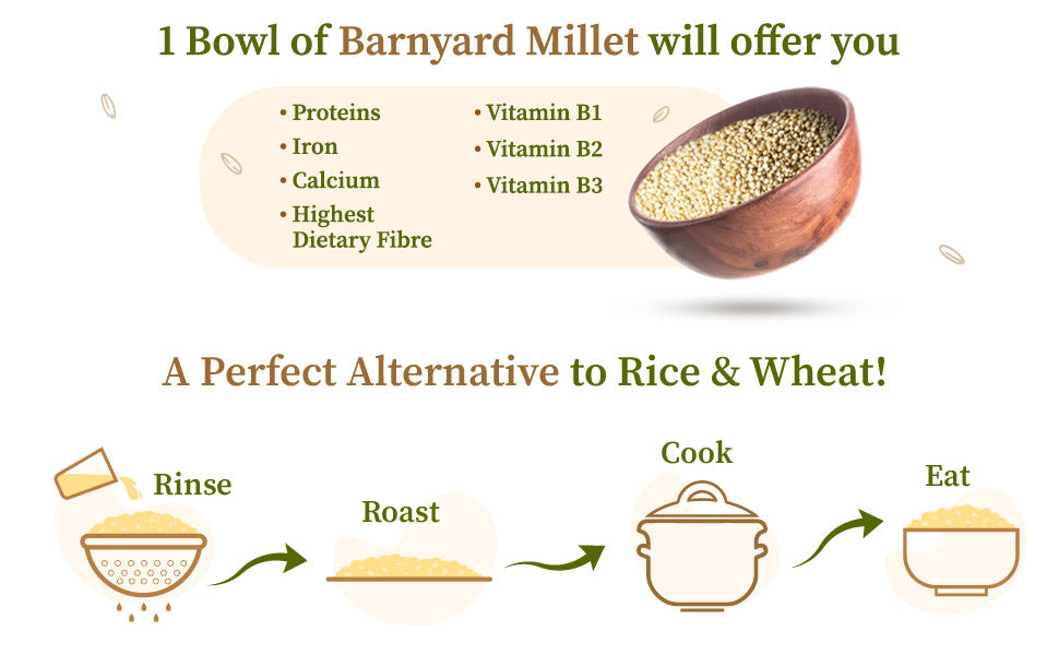 Barnyard millet alternative to rice and wheat