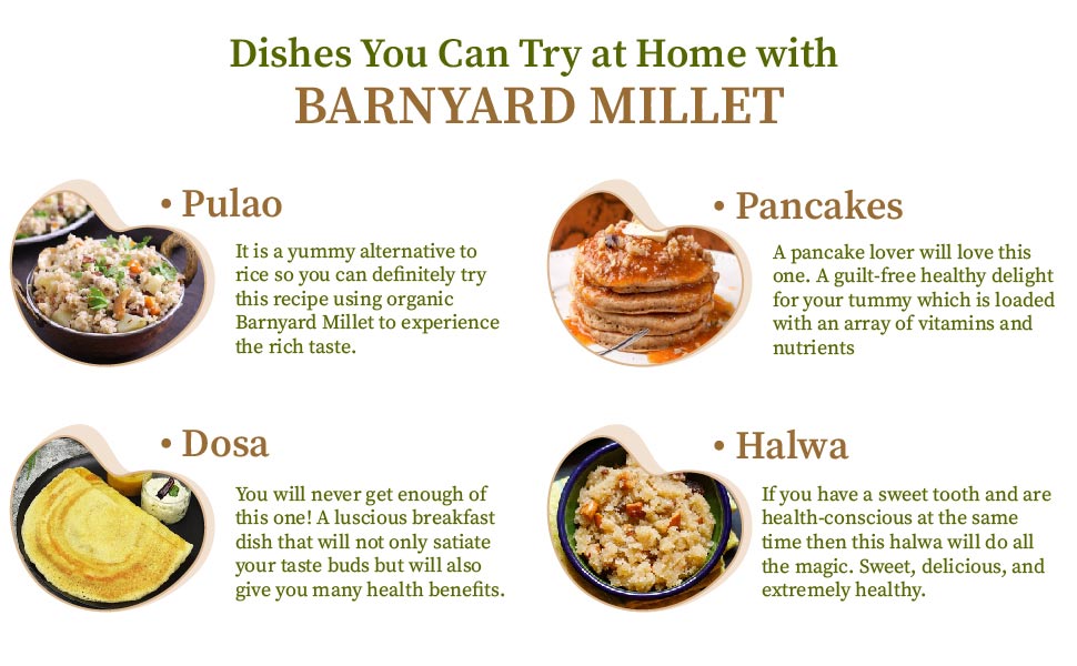 Barnyard millet recipes