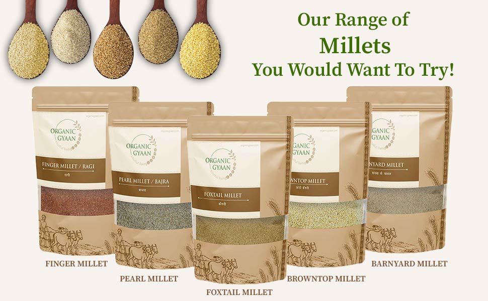 Types of millets by organic gyaan