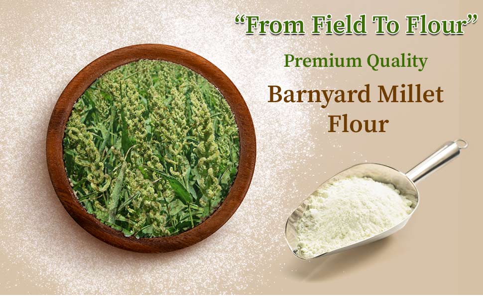 Premium quality barnyard millet flour