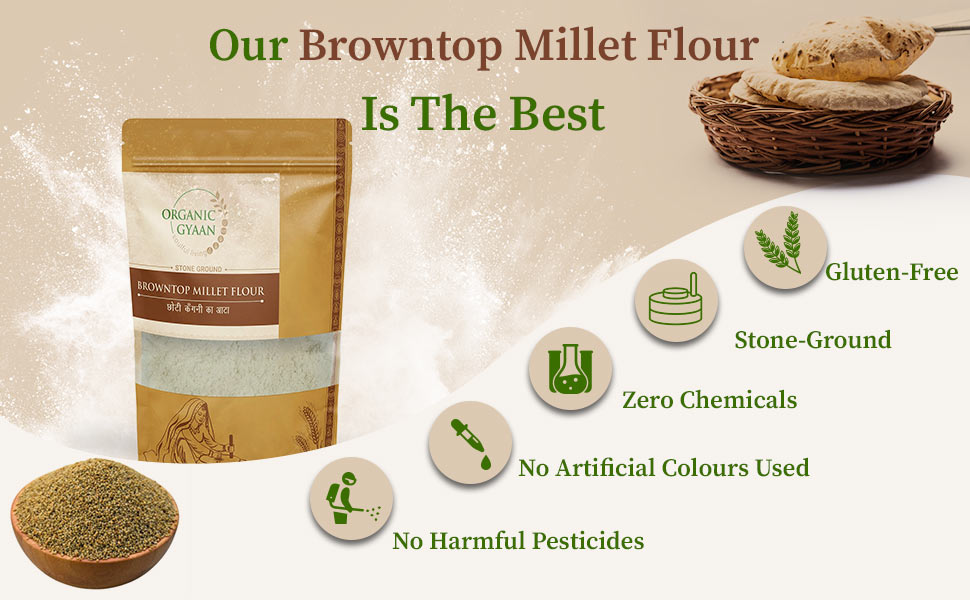 Browntop millet flour by organic gyaan