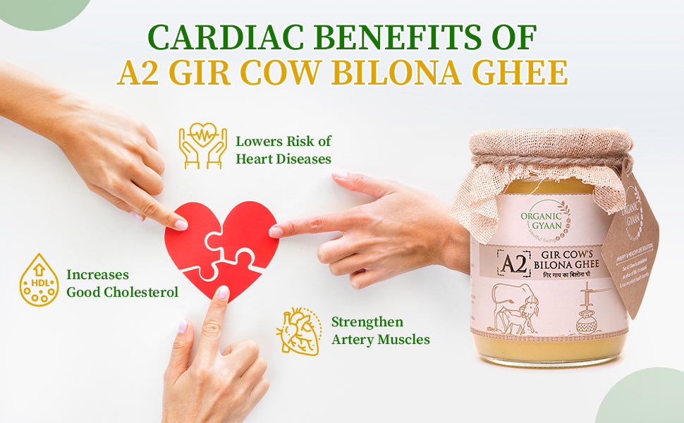 Cardiac Benefits Of A2 Gir Cow Bilona Ghee