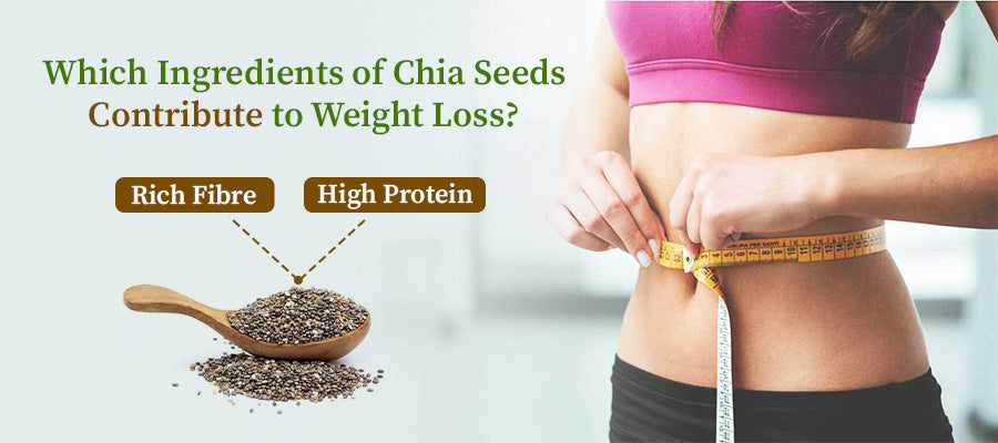 Chia Seeds Benefits, Chia Seeds For Weight Loss, Chia Seeds