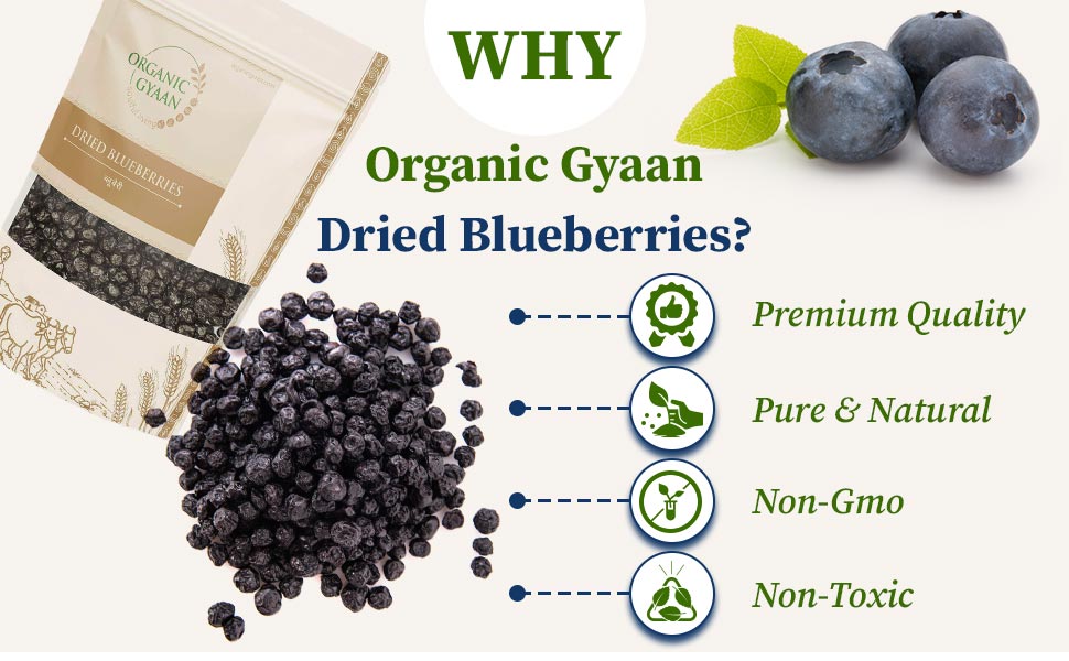 Dried blueberries by organic gyaan