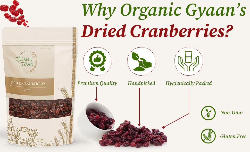 dried cranberries by organic gyaan