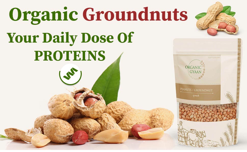 Organic groundnut 