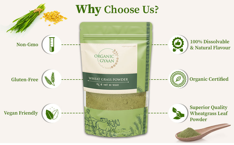 Wheatgrass Powder by organic gyaan