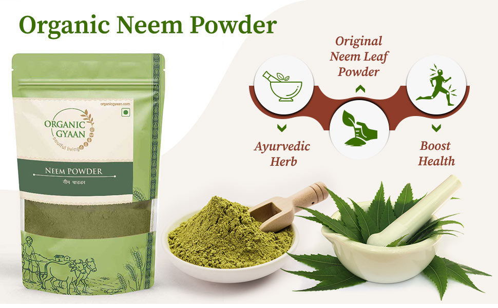 Neem leaves powder