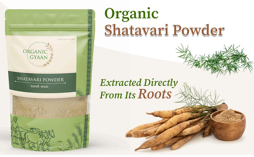 Organic shatavari powder