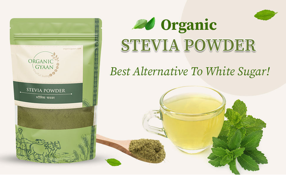 Sugar substitute stevia powder