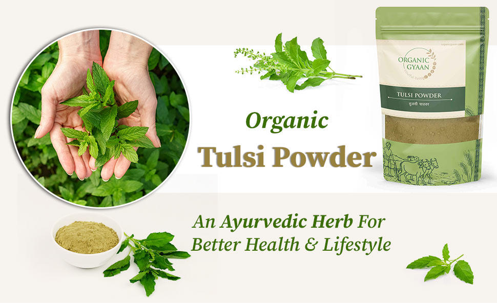 Organic tulsi powder