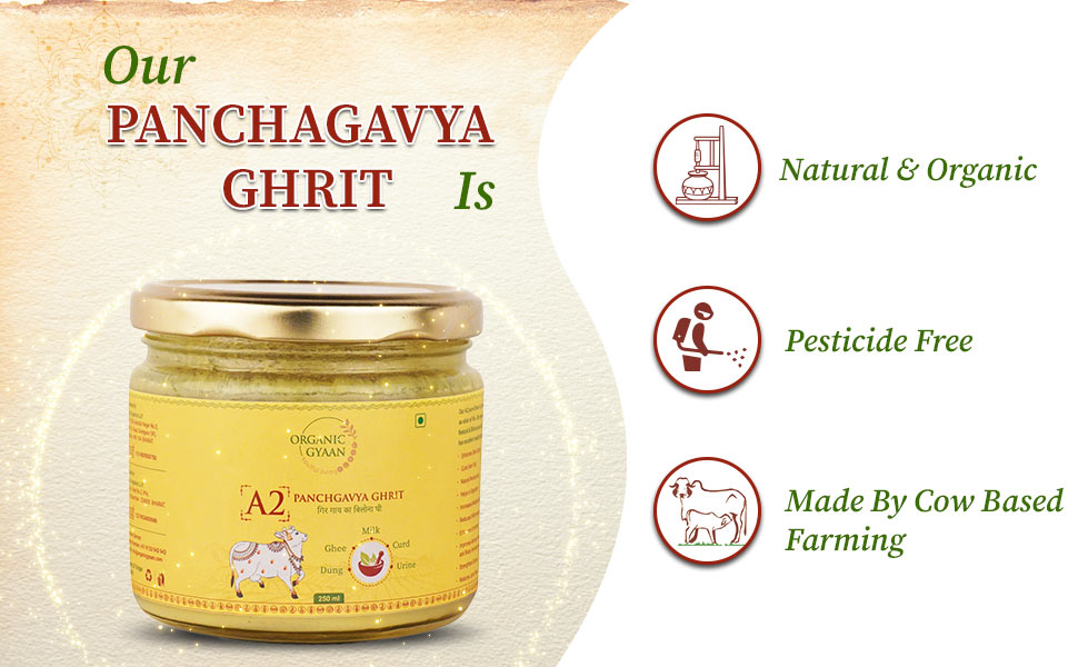 Organic and Pesticide free panchagavya ghrit