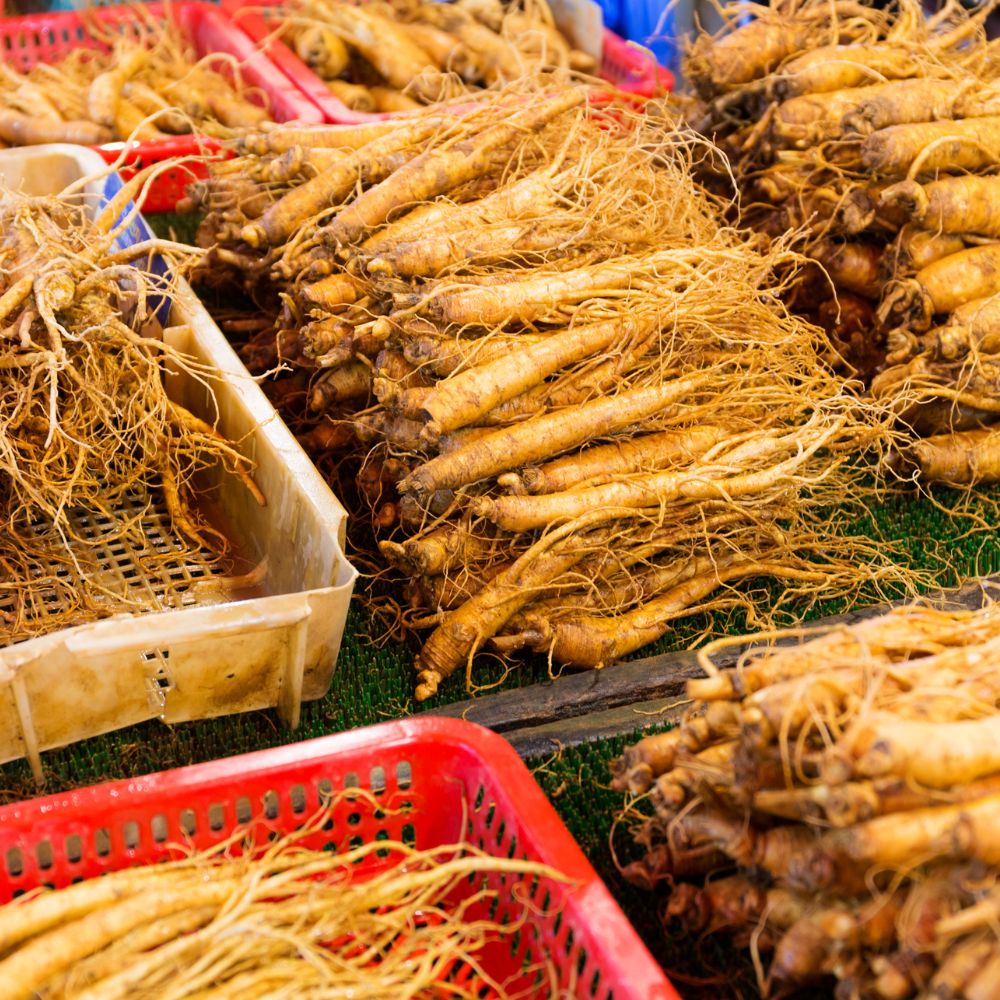 Discover the various types of ginseng, from the renowned Korean Red Ginseng to the lesser-known American Ginseng. Learn about their unique properties and health benefits.