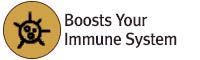 KORESELECT Immune Benefits-1