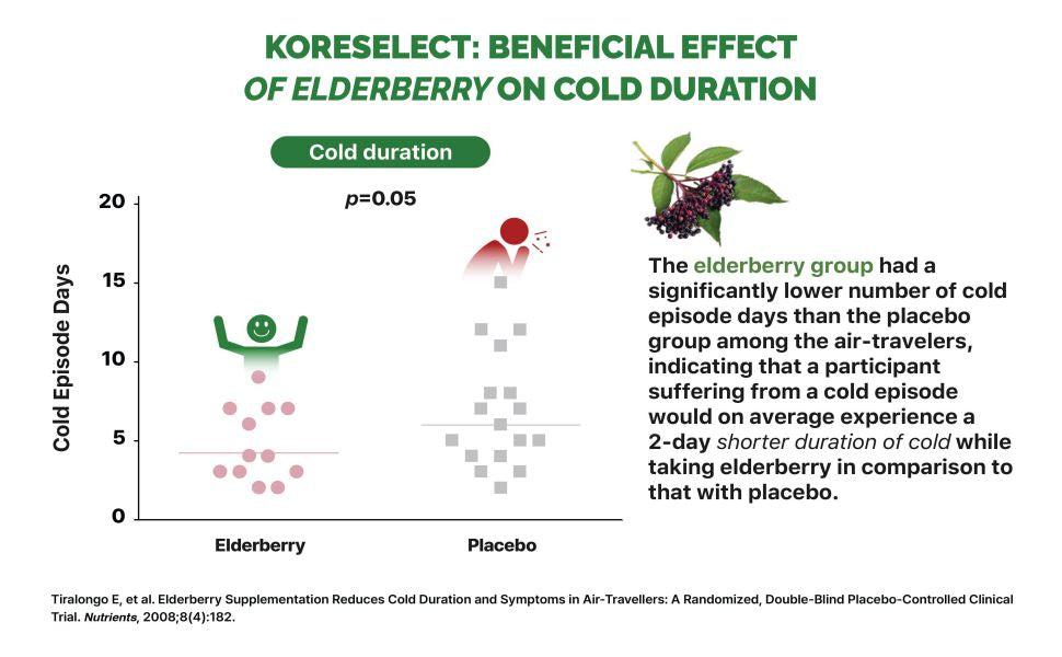 Elderberry Immune Boost Capsules with Panax Ginseng - Koreselect