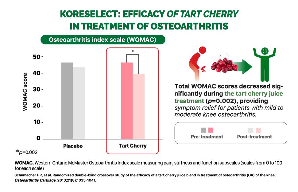 Tart Cherry Capsules MSM Joint Support Supplement with American Ginseng KORESELECT