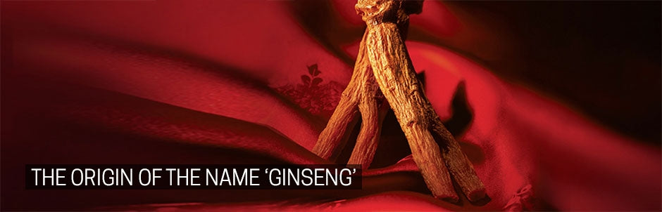 The Origin of The Name Ginseng