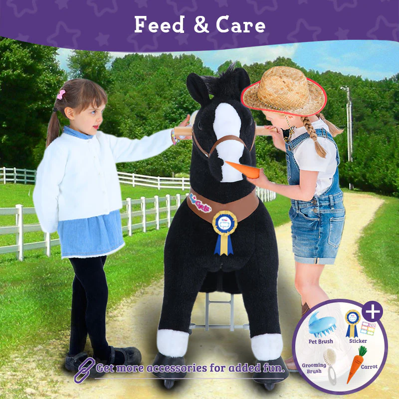 black pony feed and care kit