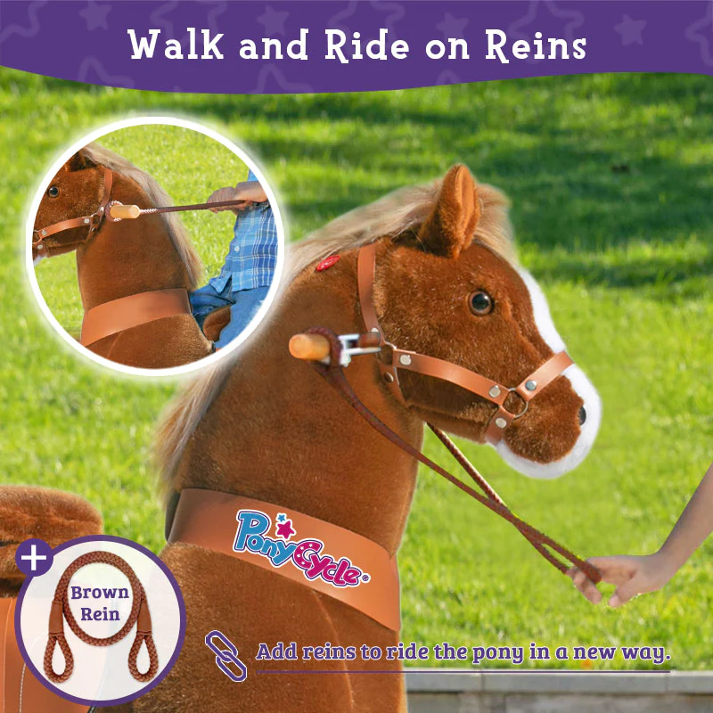 brown pony with rein
