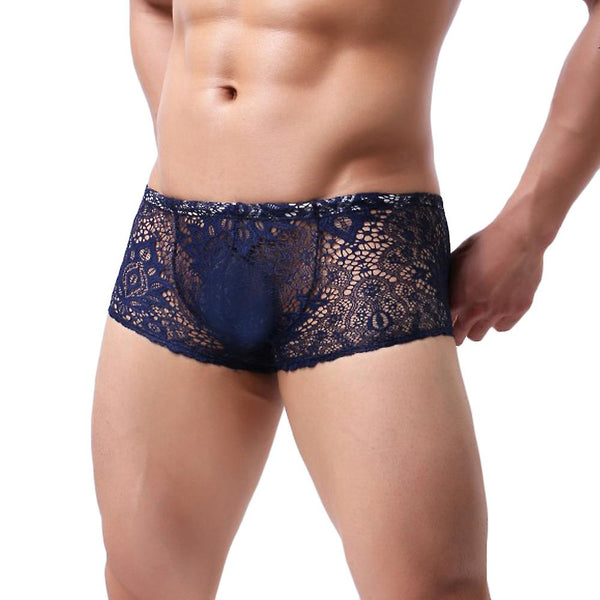 Underwear mens transparent boxer underpants knickers briefs shorts underwear  bd16222