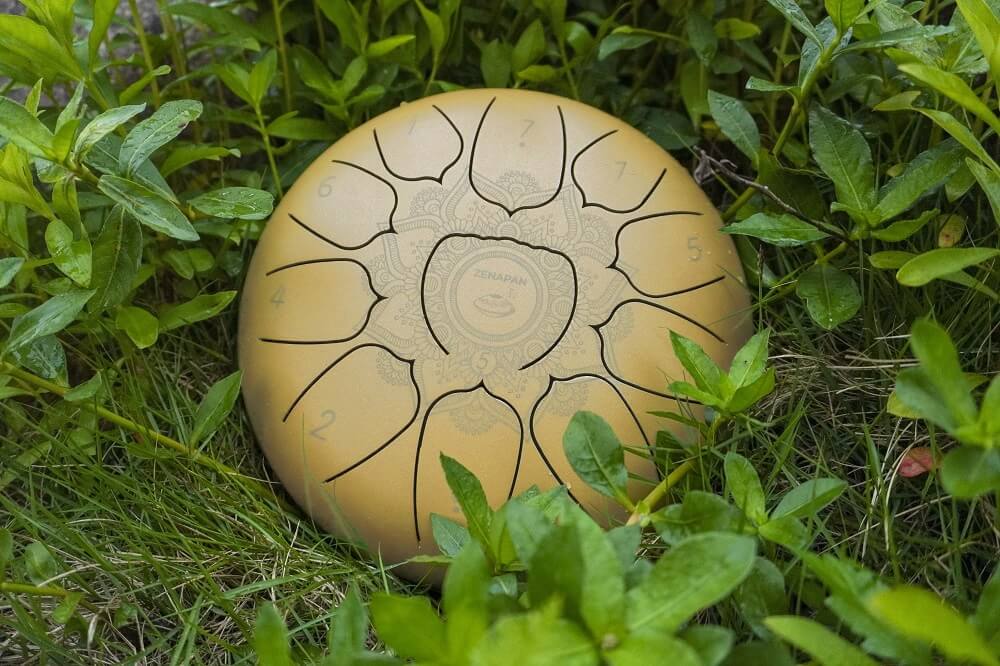 tongue drum for sale, steel tongue drum in nature