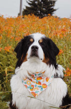 Load image into Gallery viewer, Clementine Snap-on Bandana
