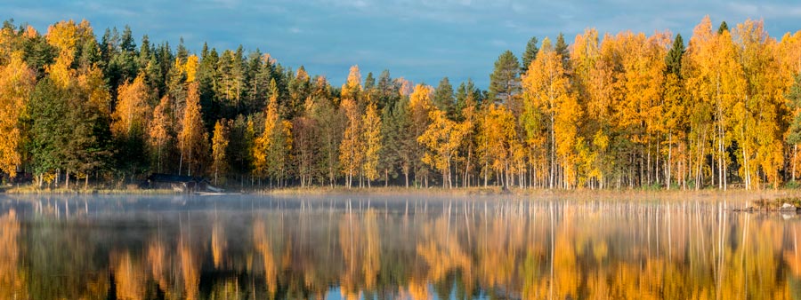 In cooperation with the Water Foundation, we work for cleaner waters in Finland.