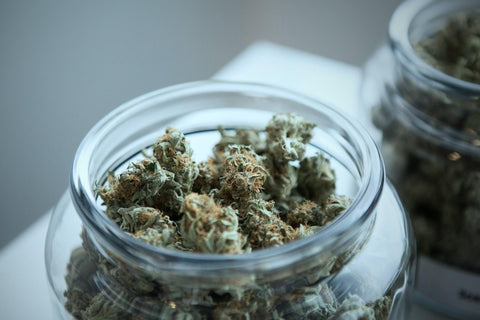 weed buds in a clear glass jar 