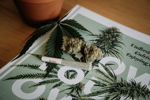 Weed buds and a pre-rolled cannabis cigarette on top of a cannabis-related magazine