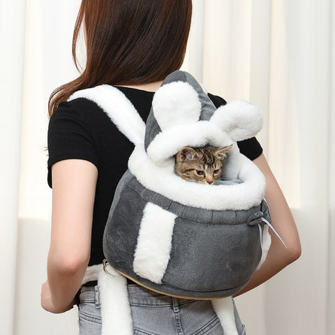 adorable small cat carrier