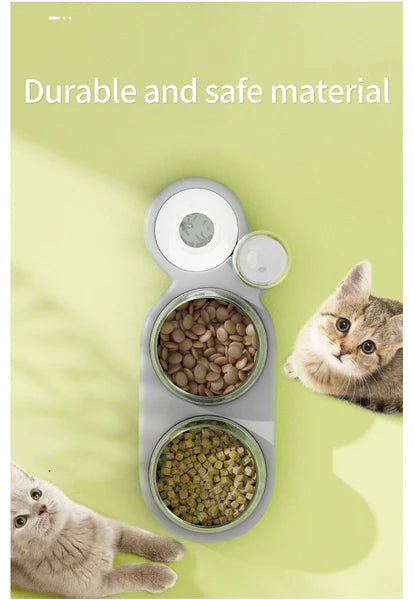 aesthetic double cat bowl with auto water dispenser