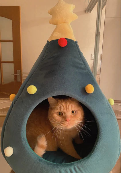 cat inside cat bed christmas tree